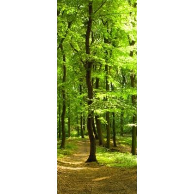 Weblux 35316050 Samolepka na dveře fólie Waldweg im Sommer Lesní cesta v létě rozměry 90 x 220 cm