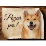 Sport hobby Cedulka Shiba-Inu Pozor pes 15 x 11 cm