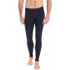 pánské spodky ICEBREAKER Mens 200 Oasis Leggings, Midnight Navy/Monsoon