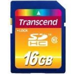 Transcend SDHC 16 GB Class 10 TS16GSDHC10 – Sleviste.cz