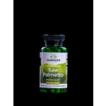 Swanson Saw Palmetto 540 mg 100 kapslí – Hledejceny.cz