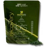 ENERGYbits RECOVERYbits Lisovaná chlorella v tabletách 90 g 360 tablet – Hledejceny.cz