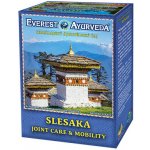 Everest Ayurveda Ajurvedský čaj SLESAKA kloubní pohyblivost 100 g – Hledejceny.cz