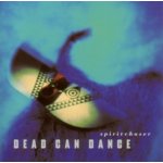 Dead Can Dance - Spiritchaser LP – Hledejceny.cz
