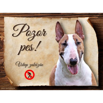 Sport hobby Cedulka Bullterier V Pozor pes zákaz 20 x 15 cm – Zbozi.Blesk.cz