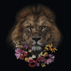 Skleněný obraz Flowered Lion 50x50 cm