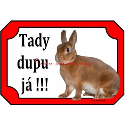 Cedulka králík zakrslý rex oranžový 2 - Se samolepicí vrstvou – Hledejceny.cz
