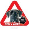Autovýbava Grel nálepka na sklo pozor pes v autě italský mastif žíhaný