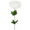 Květina Chryzantéma jehlicovitá bílá 48 cm, balení 12 ks