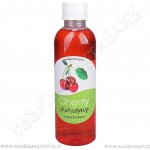 ShishaSyrup Melasa Třešeň 100 ml – Zboží Dáma ShishaSyrup Melasa Třešeň 100 ml – Zboží Dáma