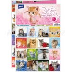 Bonaparte Pexeso: Kočky – Zbozi.Blesk.cz