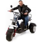 UNIZDRAV Elektrický Chopper EasyRide | Zboží Auto UNIZDRAV Elektrický Chopper EasyRide | Zboží Auto
