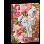 Cherry Pazzi Papoušci 1000 dílků – Sleviste.cz