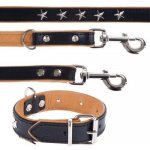 Heim obojek sada Stars: kožený + vodítko – Sleviste.cz