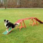 Trixie Agility lávka 456 x 64 x 30 cm do 80kg – Hledejceny.cz