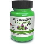 GALMED Ostropestřec + curcumin forte 60 kapslí – Hledejceny.cz