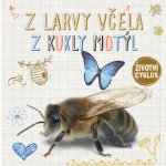 Z larvy včela, z housenky motýl - Životní cyklus – Hledejceny.cz