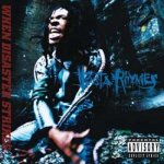 Busta Rhymes - When Disaster Strikes - New Version CD – Hledejceny.cz