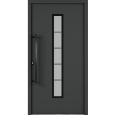 ARON vchodové dveře 3171-1 antracit 100 x 200 cm L – Hledejceny.cz