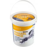 Silvita Hyalgel Horse Force Powder 900 g – Hledejceny.cz