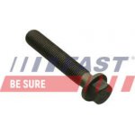 Ojniční šroub FAST FT51653 | Zboží Auto