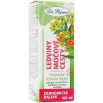Dr.Popov Ledviny močové cesty Bylinné kapky 100 ml – Hledejceny.cz