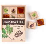 Lesní svět razítka 9 kusů Listy a plody – Hledejceny.cz