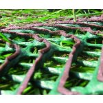 Tenax GP Flex 1800 2 x 20 m zelená 40 m² – Sleviste.cz