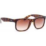 Ray-Ban RB4165 710 13 – Hledejceny.cz