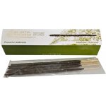 Blissful Botanics Vonné tyčinky Protective Arruda 20 ks – Hledejceny.cz