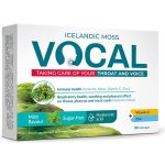 Vocal HA Pastilky bez cukru s příchutí Máty 24ks – Zboží Dáma