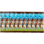 G&G Schoko Lolly Zajíc 10 Ks 150 g – Zboží Dáma