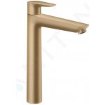Hansgrohe 71716140 – Hledejceny.cz