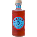 Malfy Gin Amarena 41% 0,7 l (holá láhev) – Zboží Dáma