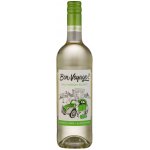Bon Voyage Sauvignon Blanc 0,5% 0,75 l (holá láhev) – Zboží Mobilmania
