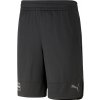 Pánské kraťasy a šortky Puma Fit Ultrabreathe 5` Short Q2 523117-01