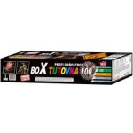 Tarra pyrotechnik Profi složený ohňostroj BOX TUTOVKA 100 ran – Hledejceny.cz
