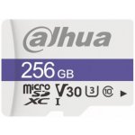 DAHUA 256GB TF-C100/256GB – Zboží Živě