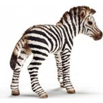 Schleich 14393 zebra hříbě – Zboží Mobilmania