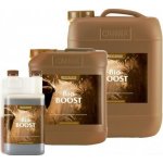 Canna BioBoost 1 L – Zboží Mobilmania