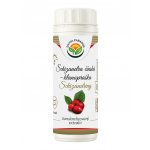 Salvia Paradise Schizandra standardizovaný extrakt 60 kapslí – Hledejceny.cz