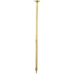 DOMAX Konstrukční vrut CT s talířovou hlavou TORX T40 8 x 380 mm pozinkovaný 50 ks – Hledejceny.cz