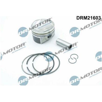 Dr.Motor Automotive DRM21603 | Zboží Auto