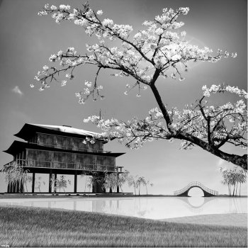 Coloriqa fototapeta Pagoda a Sakura Japonsko 1404 Materiál: Vinyl Premium, Rozměr: 208 x 146 cm L