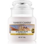 Yankee Candle Autumn Pearl 104 g – Zbozi.Blesk.cz