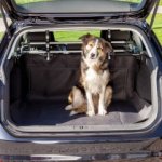 Trixie autopotah do kufru 120 x 150 cm – Zboží Mobilmania