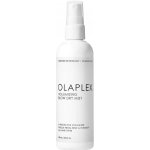 Olaplex Volumizing Blow Dry Mist 150 ml – Zboží Dáma