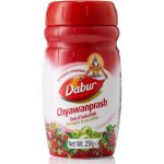 Dabur Chyawanprash 500 g – Hledejceny.cz