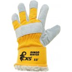 CXS DINGO WINTER – Zbozi.Blesk.cz