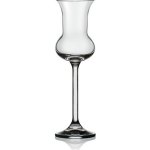 Crystal Crystalex Sklenice na likér GASTRO GRAPPA 6 x 85 ml – HobbyKompas.cz